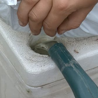 Kasvihuoneen kastelu Kasvihuoneen kastelu